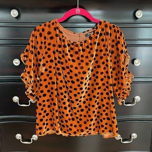 EUC Madewell Velvet Leopard Memento Top Medium